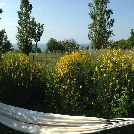Sea View With Garden.