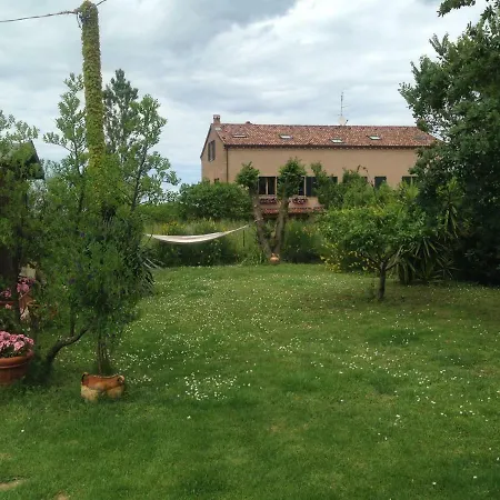 Sea View With Garden. *